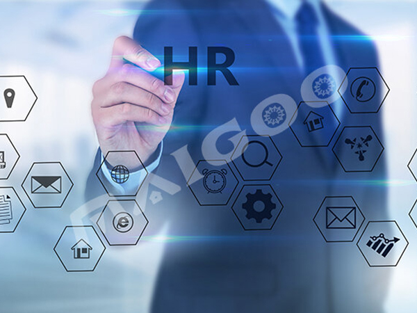 山东人力资源公司